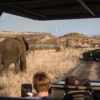 Big-Cat-Safaris-Ndaka-Safari-Lodge13