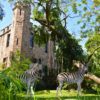 Castle-Zebra