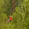 zip-line-1